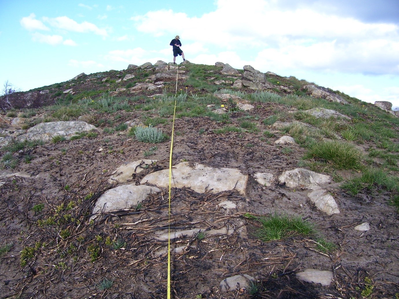 Mt Magdala Summit Survey