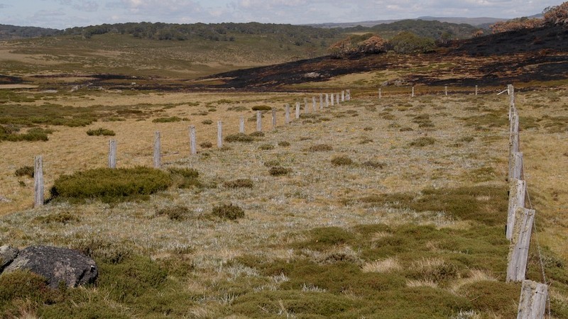 Pretty Valley Grassland