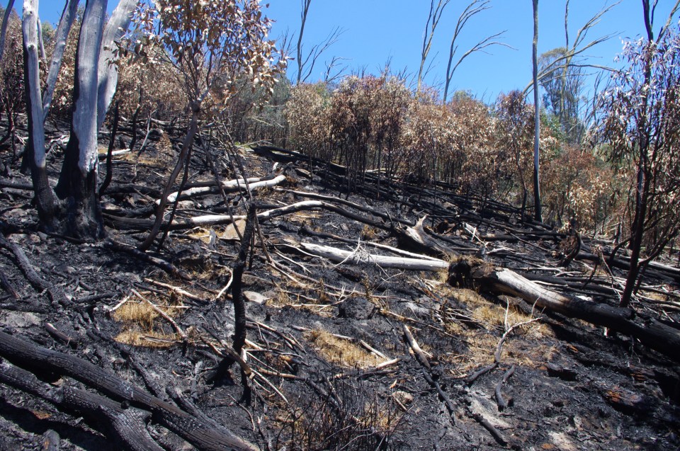 Featured Image -- 697